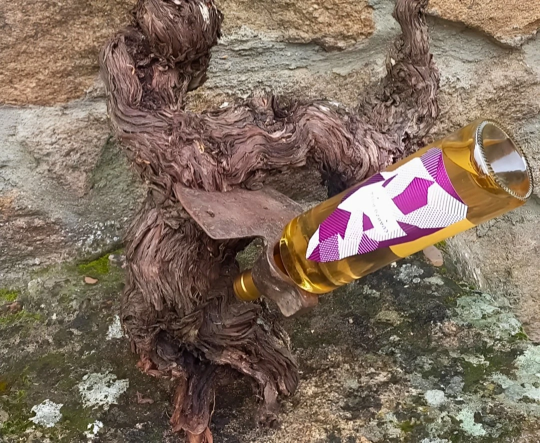 Vino blanco de Cuarzo Rosa