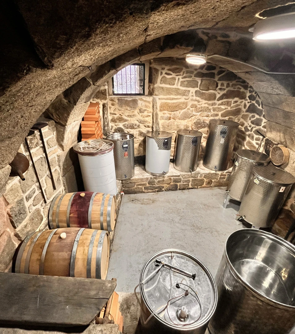 La bodega